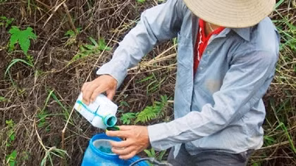 Nỗi ám ảnh mang tên thuốc diệt cỏ