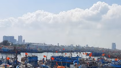 Hỗ trợ ngư dân thực hiện quy định khai thác hải sản theo khuyến nghị của EC