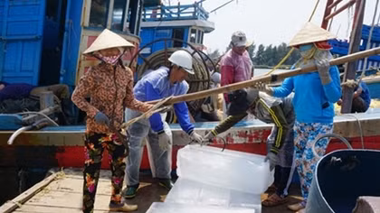 "Bóng hồng" phu khuân