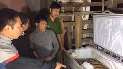Phát hiện 1 cá thể hổ đông lạnh trong nhà một người dân