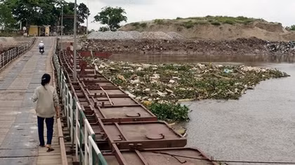 Vướng mắc trong xử lý dịch tả lợn châu Phi tại Hải Phòng