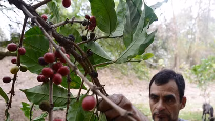 “Khủng hoảng kép” do làn sóng di cư và biến đổi khí hậu ở Honduras