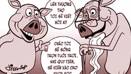 Để ngành chăn nuôi lợn không vỡ trận