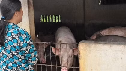 Cách nào để cứu nông dân