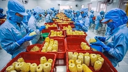 An ninh kinh tế - nền tảng đảm bảo thực hiện thắng lợi Hiệp định EVFTA và EVIPA