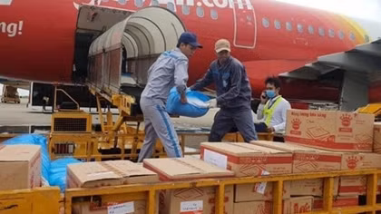 Hơn 80% thị phần đang rơi vào tay các hãng nước ngoài