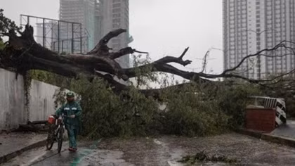 2 cơn bão mạnh cùng lúc gây thiệt hại nặng cả về người và tài sản