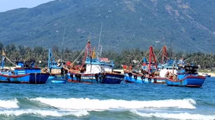 Thực hiện 9 khuyến nghị của EC phải làm thường xuyên, liên tục và lâu dài