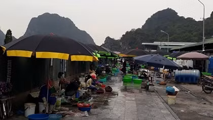 Công an vào cuộc điều tra việc “tận thu” tại chợ Hạ Long I