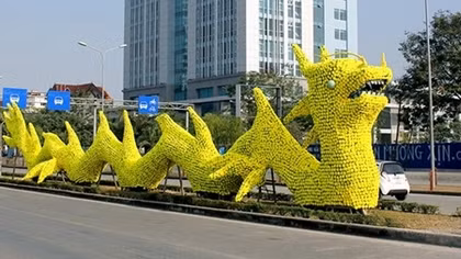Rà soát lại toàn bộ việc trang trí cây xanh trong dịp Tết ở Hài Phòng