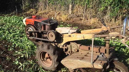 Nhổ cả vườn rau vì mâu thuẫn rồi về nhà nằm ngủ