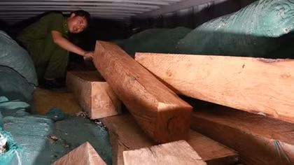Thông báo tìm chủ sở hữu