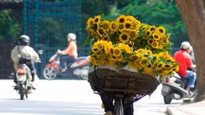 Thời tiết ngày 19-9: Bắc Bộ, Trung Bộ tiếp tục nắng mạnh, trời oi bức