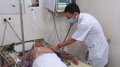 Ra vườn cắt cỏ, cụ bà bị cả bầy ong vò vẽ tấn công