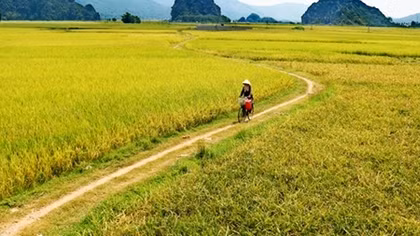 Những câu chuyện kể từ đất