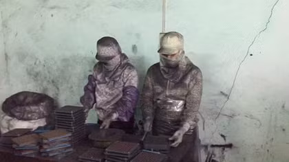 Sản xuất thực phẩm chức năng bằng... than tre, nứa