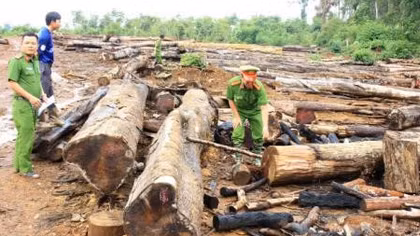 Lào hoan nghênh Việt Nam đóng cửa rừng Tây Nguyên