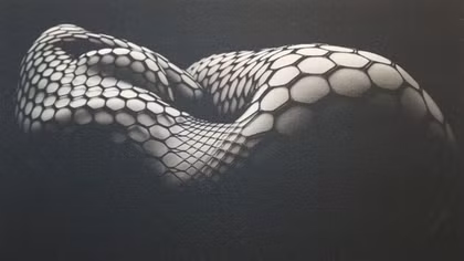 Chiêm ngưỡng ảnh nude nghệ thuật của Thái Phiên tại triển lãm “Miền cổ tích”