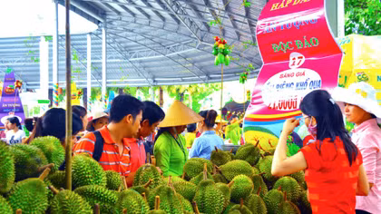 Lễ hội Trái cây Nam Bộ dự kiến thu hút hơn 1,6 triệu khách