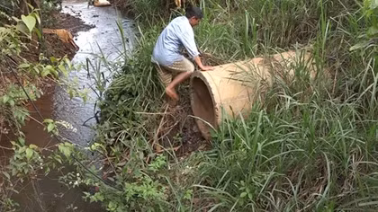 Đình chỉ hoạt động nhà máy chế biến mủ cao su gây ô nhiễm