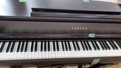 Tạm giữ container đàn piano nghi nhập lậu