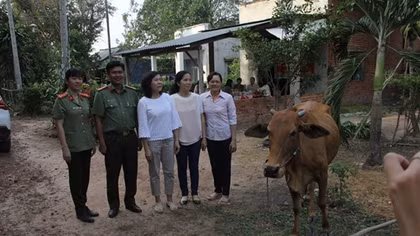 Hội phụ nữ Công an Tây Ninh tặng bò cho hội viên nghèo