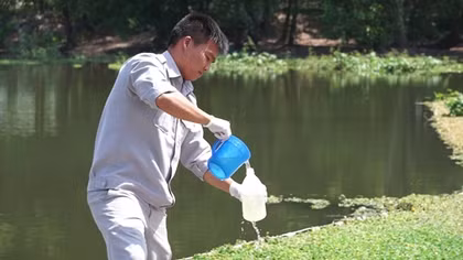 Phát hiện nhiều hộ chăn nuôi xả chất thải xuống hồ Từ Vân
