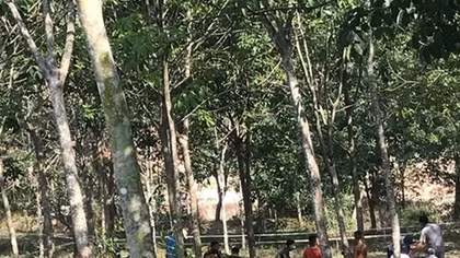 Nghi án nam thanh niên chết cháy trong vườn cao su