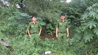 Công ty khoai mì nhiều lần không chấp hành xử phạt về lĩnh vực bảo vệ môi trường