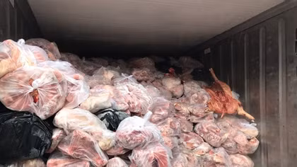 Thùng container chứa 20 tấn thịt hôi thối