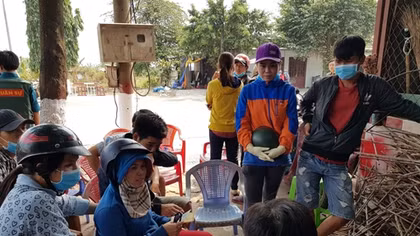 Xử phạt hơn 300 triệu đồng với 10 trường hợp vận chuyển heo không rõ nguồn gốc
