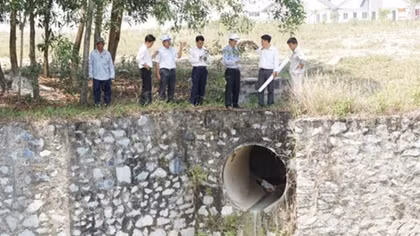 Cá chết hàng loạt hồ Từ Vân do nguồn nước bị ô nhiễm
