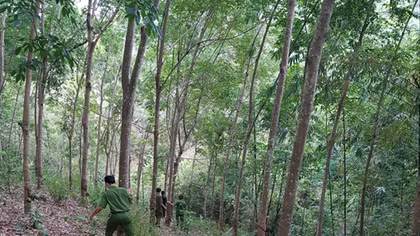 Bí ẩn bộ xương người bên khe suối