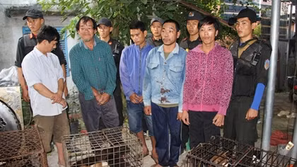 Triệt phá đường dây trộm chó nguy hiểm ở Tây Ninh