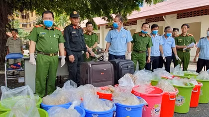 Phá đường dây 500kg ma túy nhờ tinh thông nghiệp vụ và đúng hướng điều tra