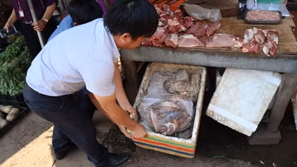 Phát hiện thịt heo thối ở khu vực chợ Đồng xoài
