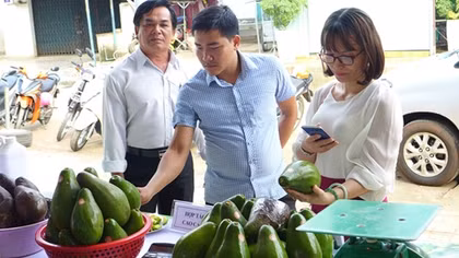 Khai mạc chợ phiên đặc sản Bình Phước – An Giang