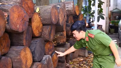 Bắt xe chở nhiều gỗ quý lậu cho đại gia bí ẩn