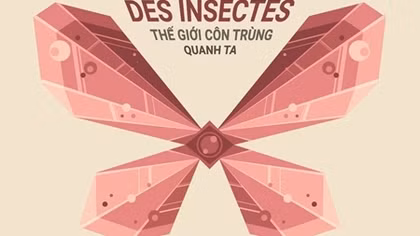 Sống động tuần lễ phim "Thế giới côn trùng quanh ta"