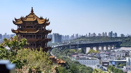 Điều chưa biết về Vũ Hán - ổ dịch viêm phổi gây chết người tại Trung Quốc