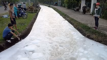 Dòng kênh trắng như nước xà phòng, xác cá dạt đầy ven bờ