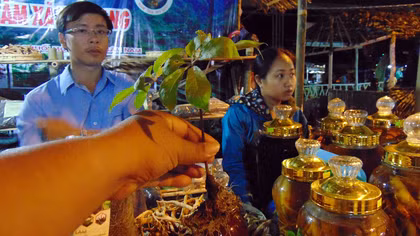 1.100 lượt người đến với phiên chợ sâm Ngọc Linh lần thứ 4