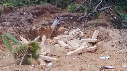 “Kho” tập kết gỗ pơ mu cách trụ sở BQL Khu kinh tế cửa khẩu 35m