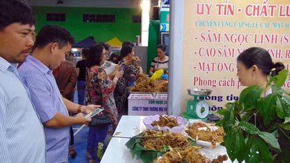 Quảng Nam dừng, hoãn nhiều hoạt động do dịch COVID-19