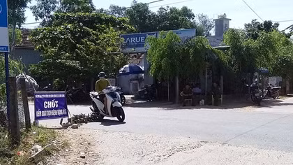 Quảng Nam tăng cường kiểm soát việc vận chuyển lợn qua địa bàn