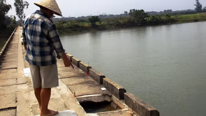 Gặp nạn trên cầu, người đàn ông rớt sông tử vong