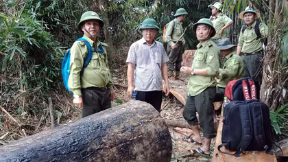 Kiểm lâm Quảng Nam quyết tâm làm “trong sạch nội bộ” sau hàng loạt vụ phá rừng