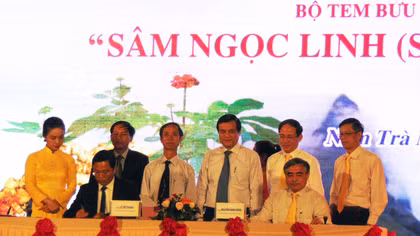 Rộn ràng lễ hội sâm núi Ngọc Linh