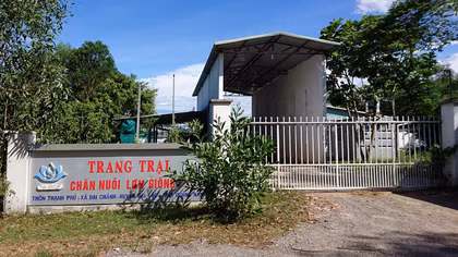 Trang trại lợn giống gây ô nhiễm trầm trọng