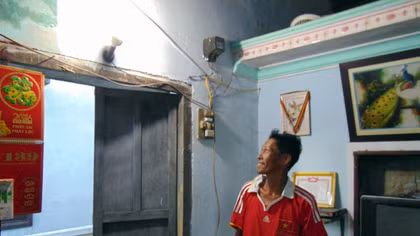 Cù Lao Chàm chính thức có điện lưới quốc gia